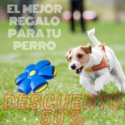Pelota Voladora Con Luces Mascotas - Flyball™ (PROMO 2X1)